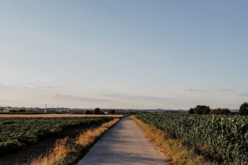 Weg mit Ausblick